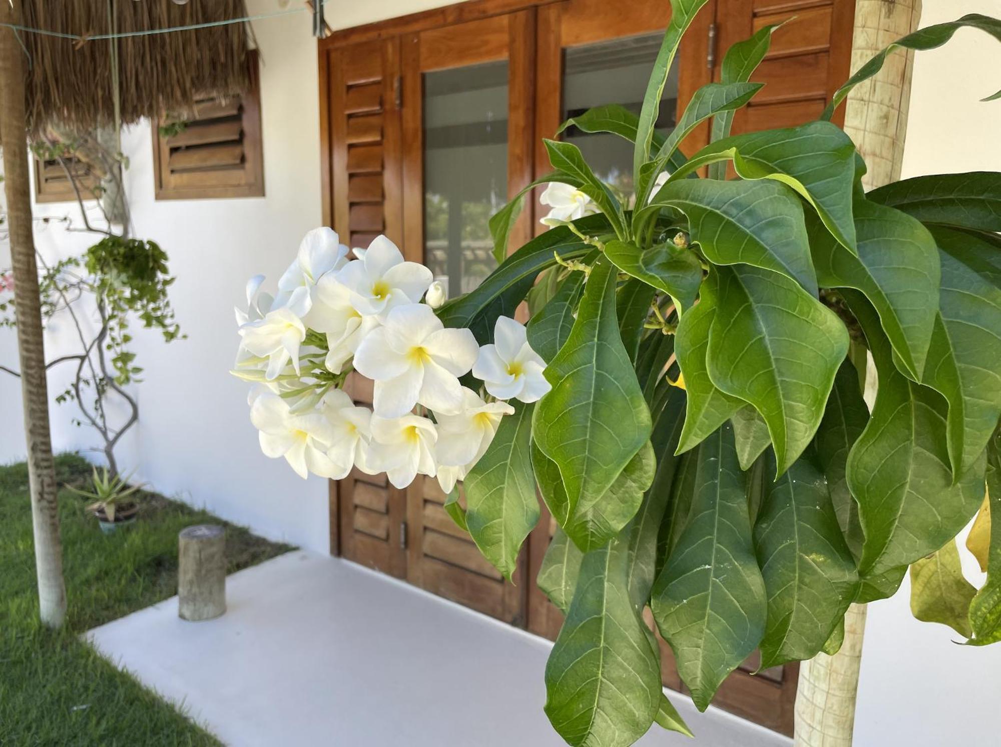 Villa Caribou Icaraí Esterno foto
